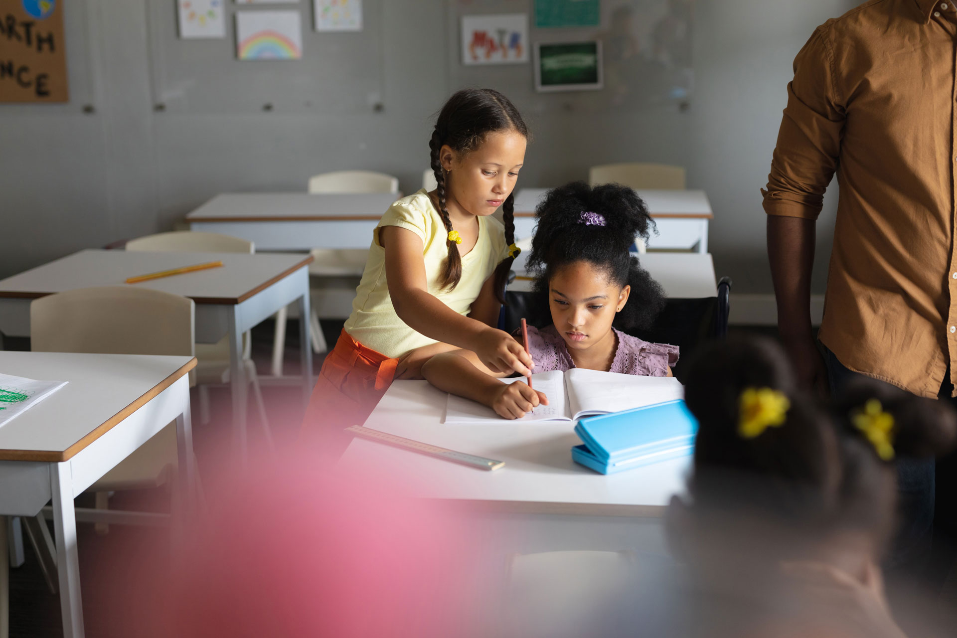 Ilustração lateral esquerda