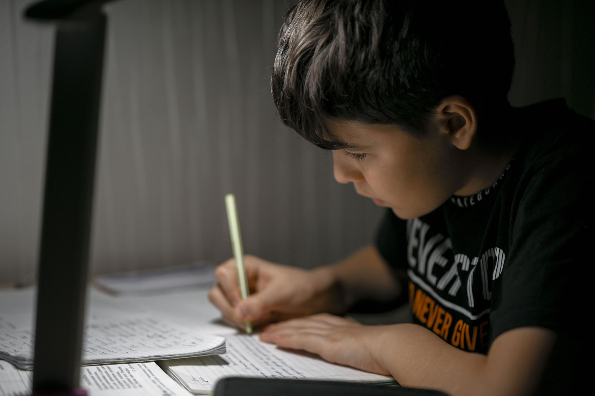 Ilustração lateral esquerda