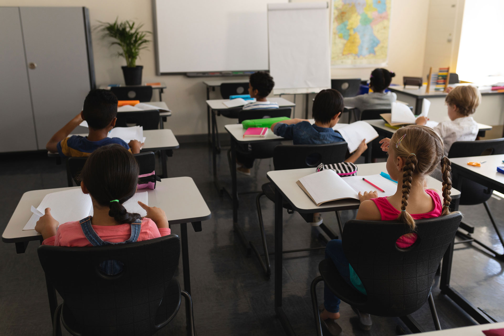 Ilustração lateral esquerda