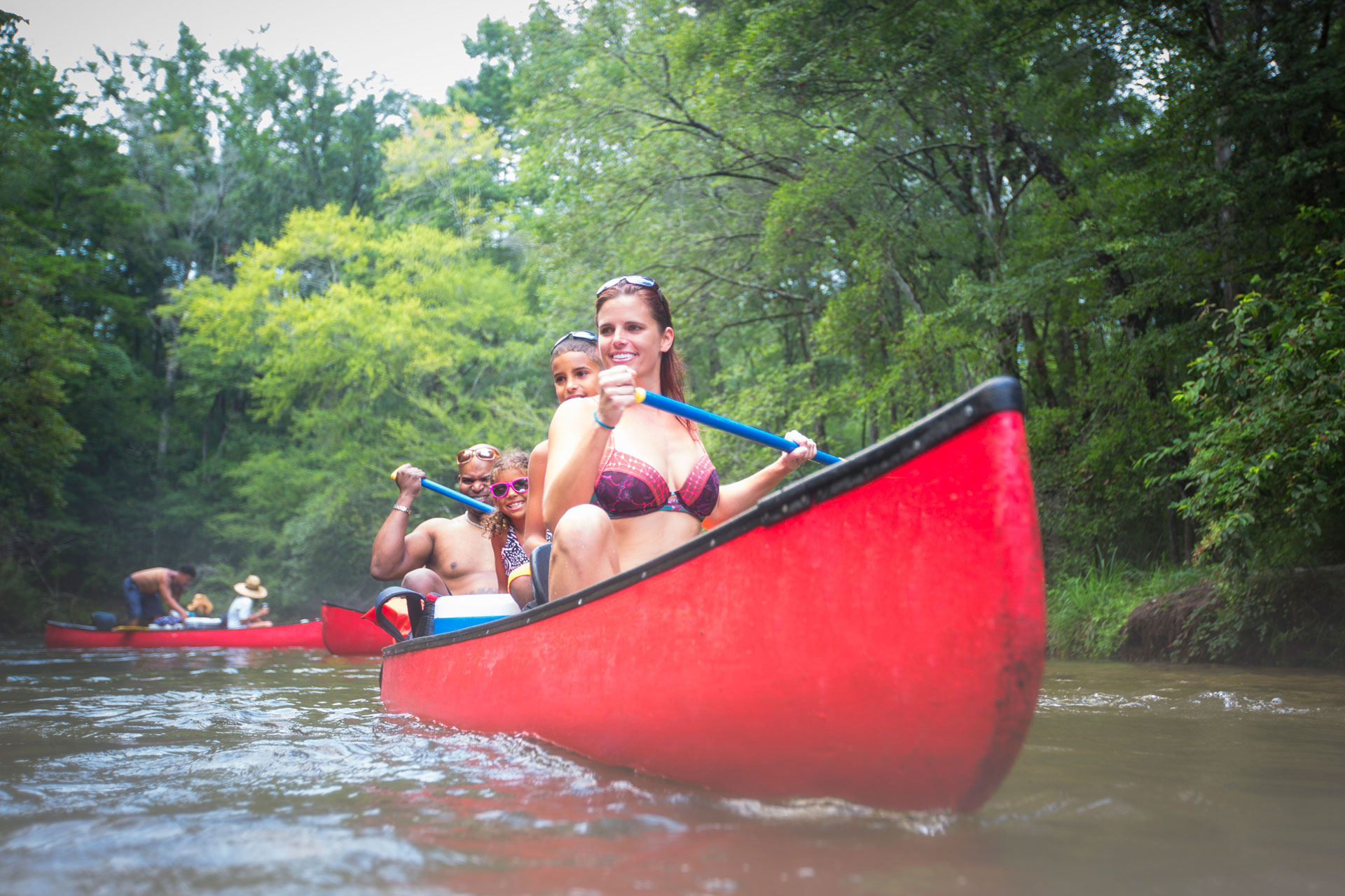 Ilustração lateral esquerda