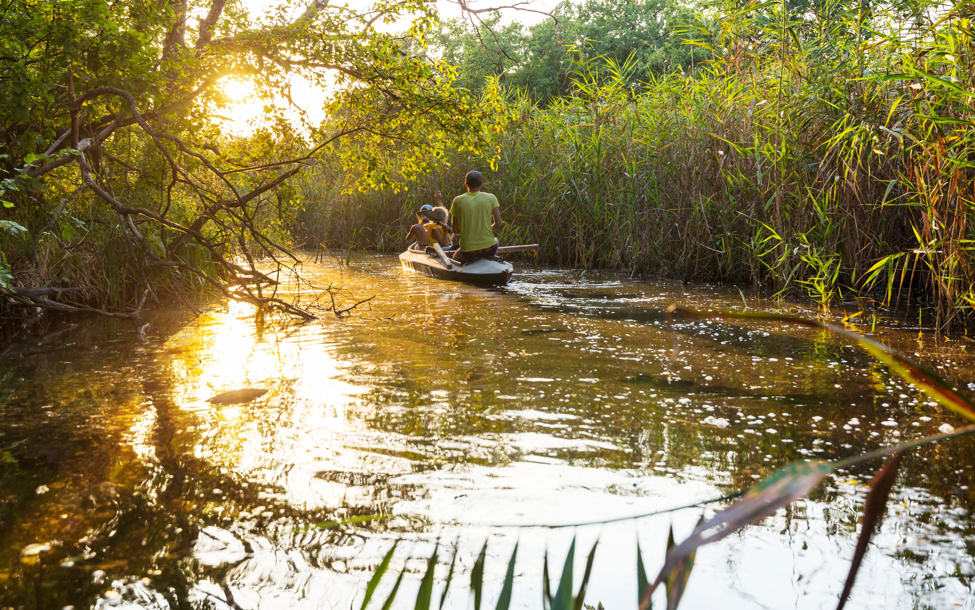 Ilustração lateral esquerda