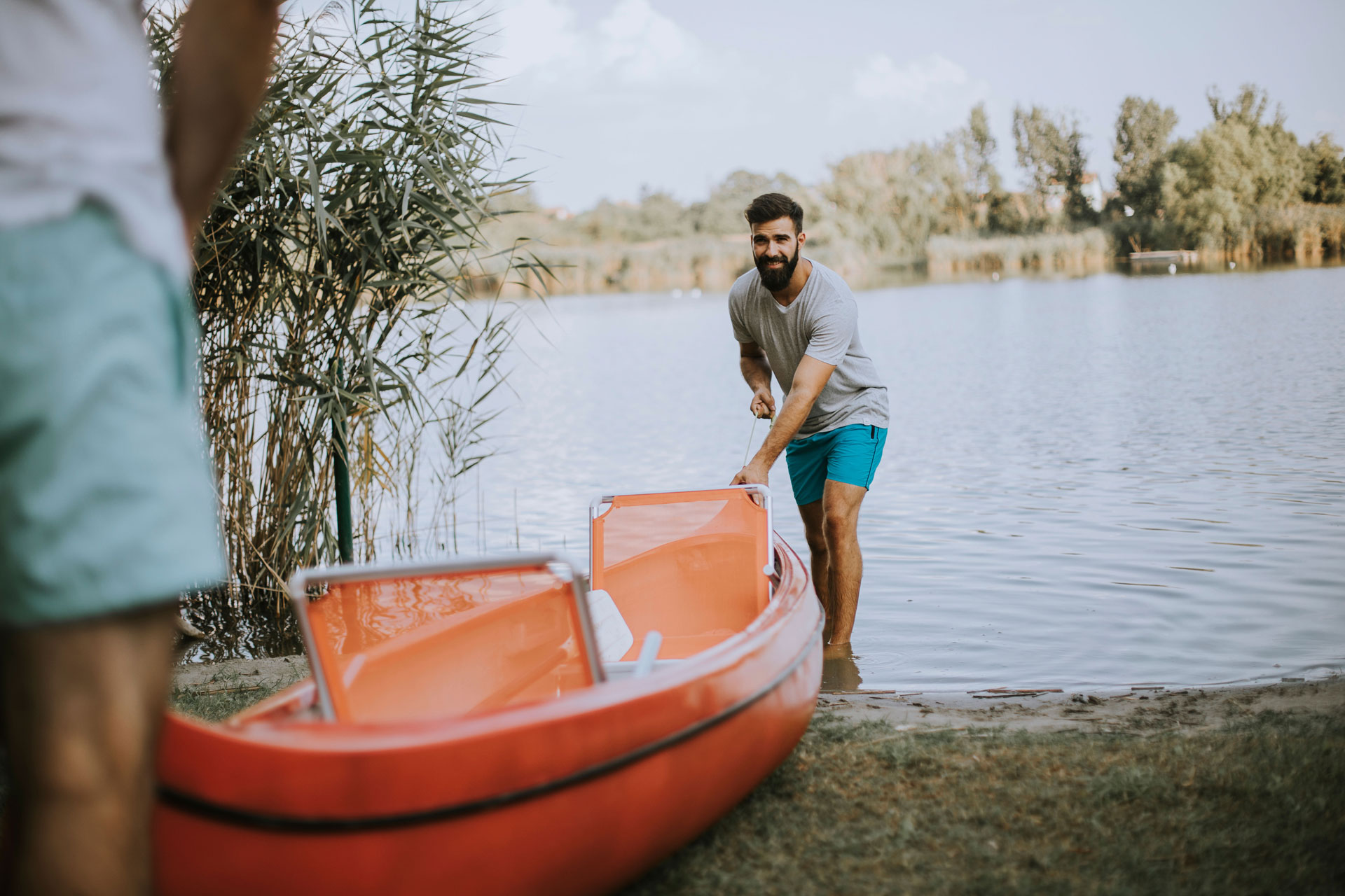 Ilustração lateral esquerda