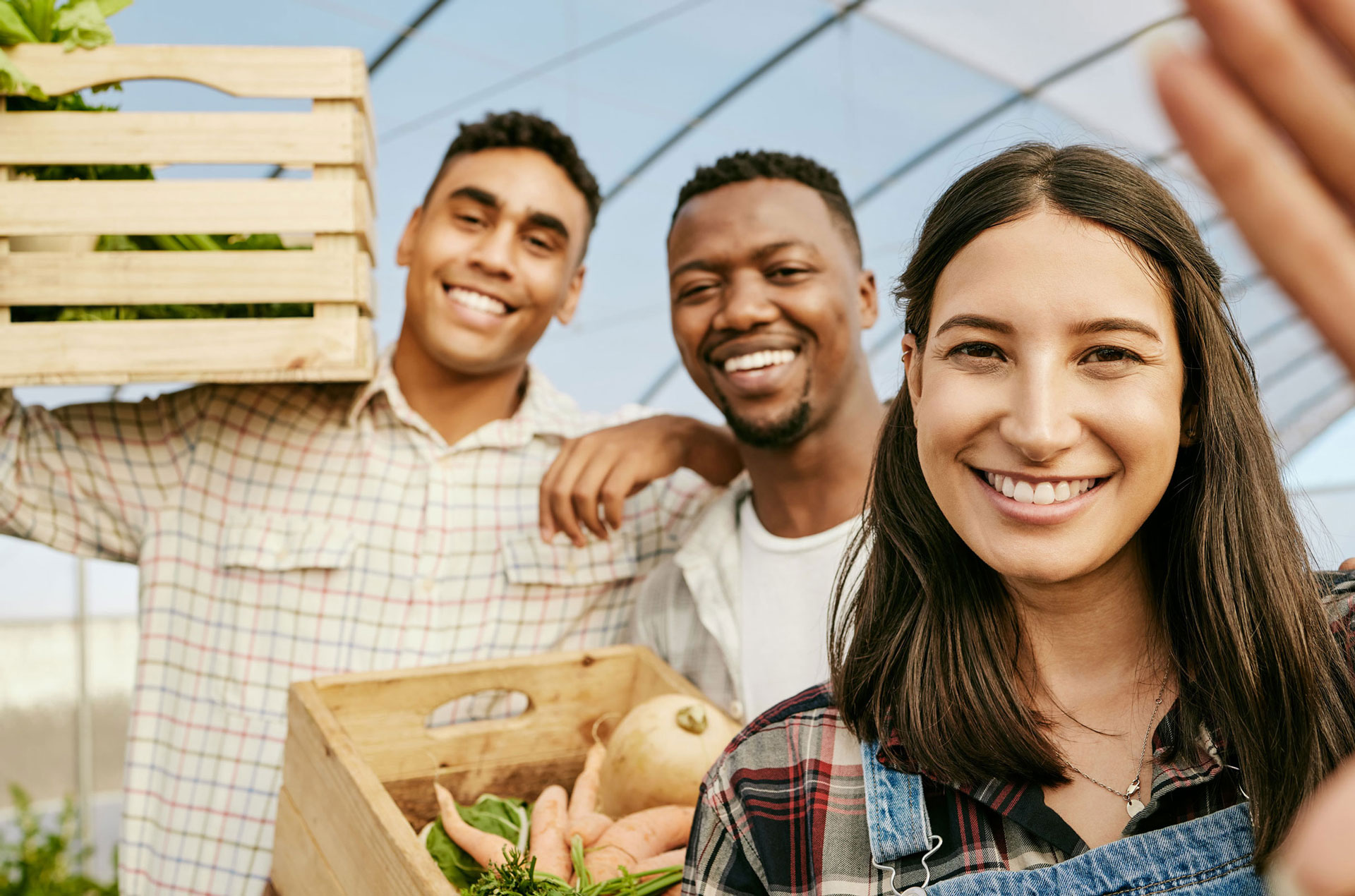 Ilustração lateral esquerda