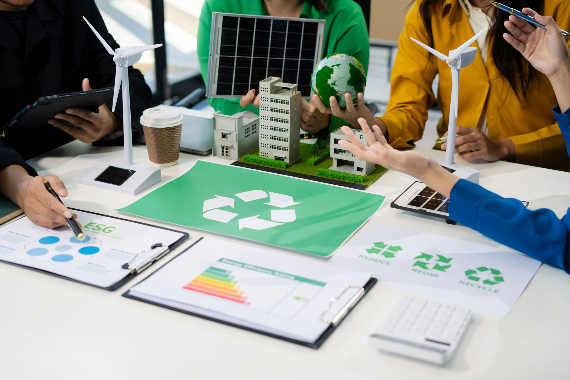 Ilustração lateral direita