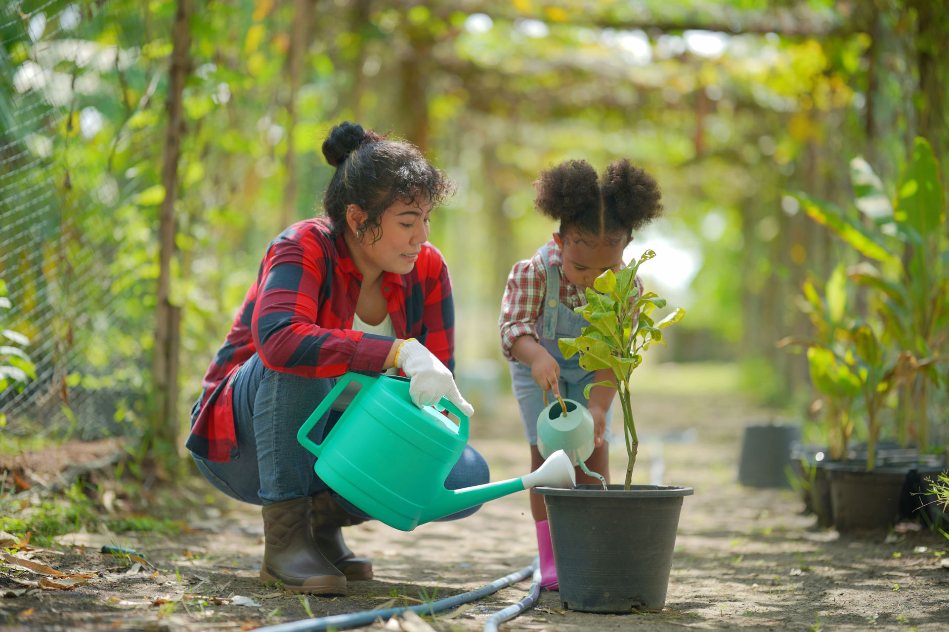 Ilustração lateral direita