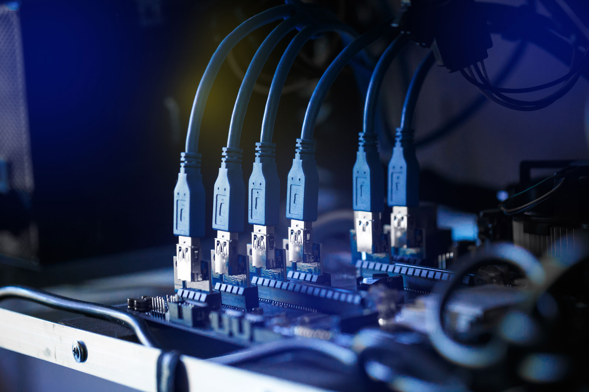 Ilustração lateral esquerda