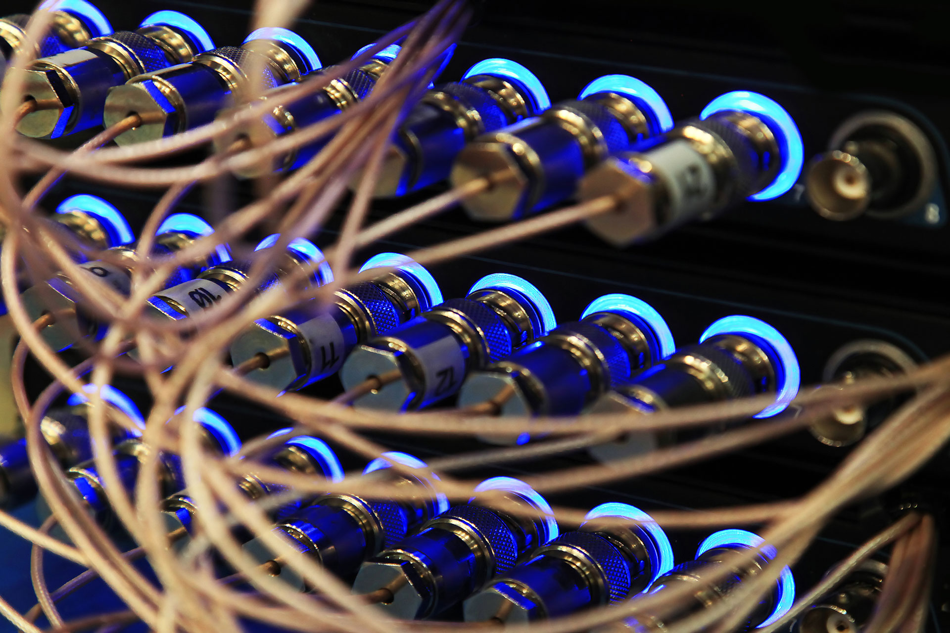 Ilustração lateral direita