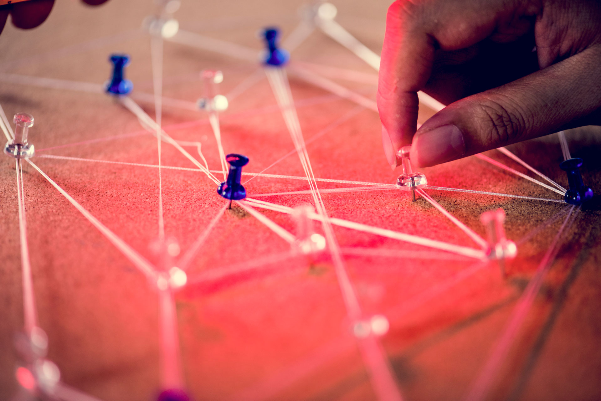 Ilustração lateral esquerda